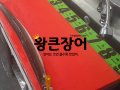 20241011 90cm 대물 왕큰장어