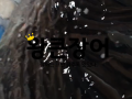 수족관의 왕큰장어들...