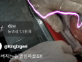 할아버지는 늘 말씀하셨죠!!