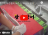 "왕큰장어 손질의 모든 것! 초보도 쉽게 따라 하기"