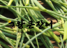 장어구이와 마늘종은 서로 잘 어울리는 조합입니다.